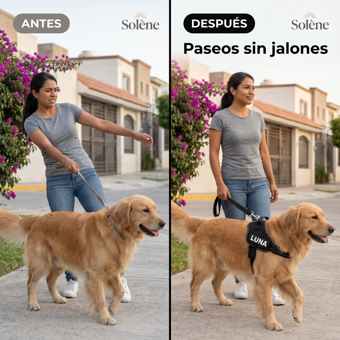 Trotto™ Arnés Antitirones