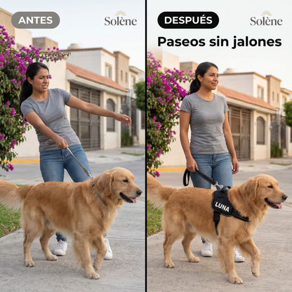 Trotto™ Arnés Antitirones
